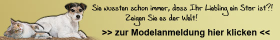 >> zur Modelanmeldung hier klicken <<